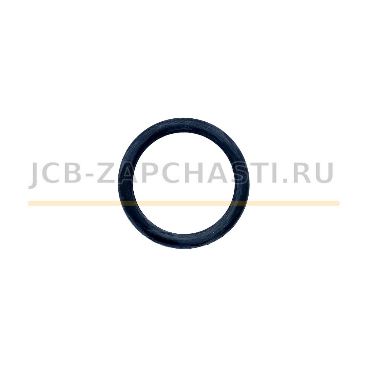 Уплотнительное кольцо 2401/0205 920/00176