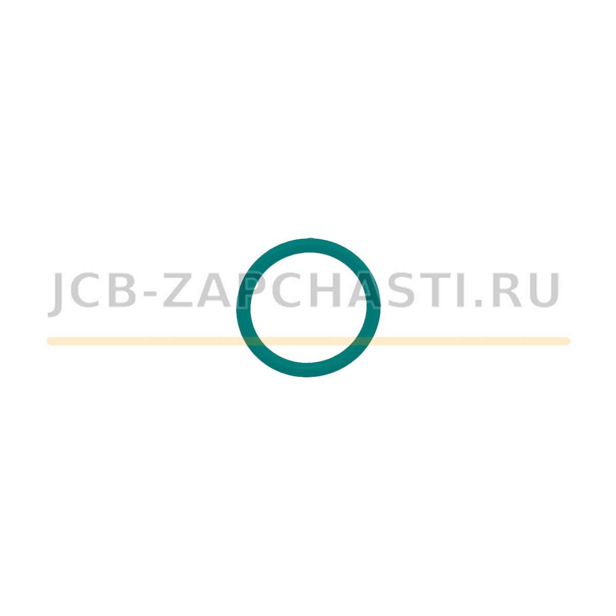 Уплотнительное кольцо двигателя 20 х 25 320/01656